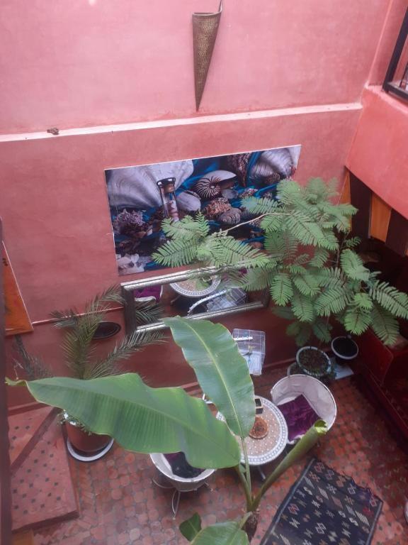 Riad Hanafi Marrakesh Exterior photo